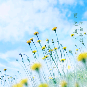 日本高清三级片直播网址
