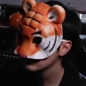 日本高清三级片直播网址
